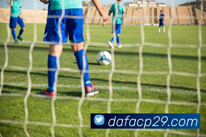 大发彩票官网发展历程